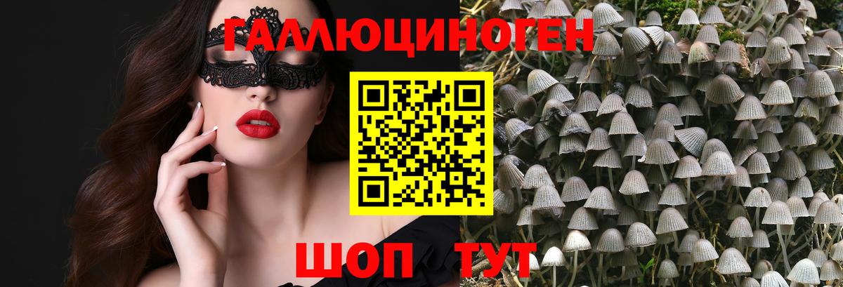 Обь  дарнет шоп  Вход с VPN  Галлюциногенные грибы GOLDEN TEACHER 