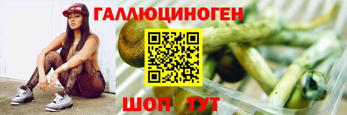 Псилоцибиновые грибы Psilocybe Обь